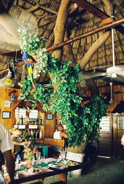The best-known restaurant in San Pedro Town, Ambergris Caye