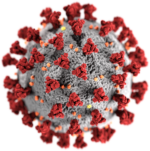 A CDC Coronavirus image, used to illustrate my COVID-19 Timeline Project
