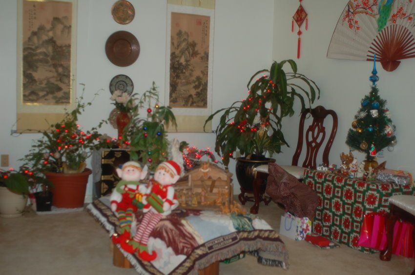 Our Christmas Living Room