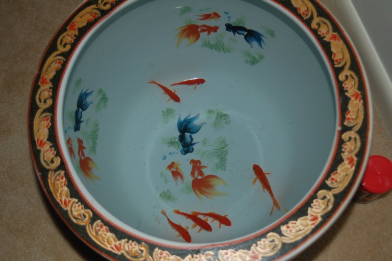 Looking down at goldfish swimming in a Chinese goldfish pot