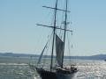 A Sailboat in New York Harbor