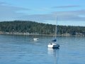 Sailboat in Port Orchard