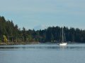 Sailboat in Port Orchard