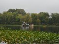 A Small Floating Dredge in Lake Sammamish