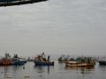 A Fleet of Fishing Boats in Paracas Bay, Peru