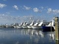 Fishing Boats at Rest, Oregon Inlet, North Carolina