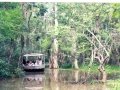 Tour Boat in the Honeywell Swamps, Louisiania