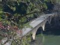 The Bridge Over the Cumberland River