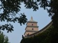 View of Wild Goose Pagoda from the Temple Grounds, Xi'an, China