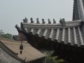 Wild Goose Pagoda, Temple, Xi'an, China