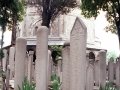Mosque Cemetery