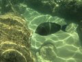 The Underwater World of Hanauma Bay, Hawaii