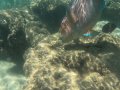 The Underwater World of Hanauma Bay, Hawaii