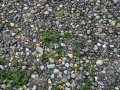 On Discovery Beach, Seattle, Washington