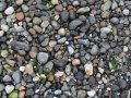 On Discovery Beach, Seattle, Washington