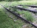 Railroad Tracks To Nowhere