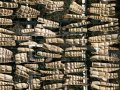 Drying Bamboo