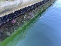 The Edge of A Pier