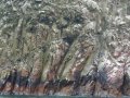 Rocky Formations of the Ballestas Islands of Peru 