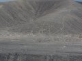 Images Created in The Nazca Desert of Peru -  - The Paracas People