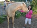 Winnie Brushing A Horse