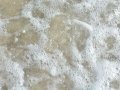Sea Foam