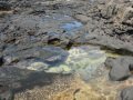 Tidal Pools on Lava Rock