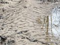 Ripples in the Sand