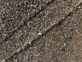 Pebbles on a Beach Along Cape Hatteras