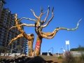 Tree Sculpture In Destin, Florida