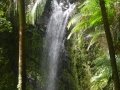 La Mina Waterfall, El Yunque National Park