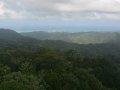 Looking Out at the Rain Forest From Yokahu Tower