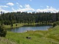 A Field with a Pond, Yellowstone Park