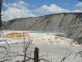 Images of Mt Terrace, Yellowstone Park