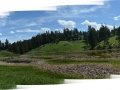 A Panorama of A Field