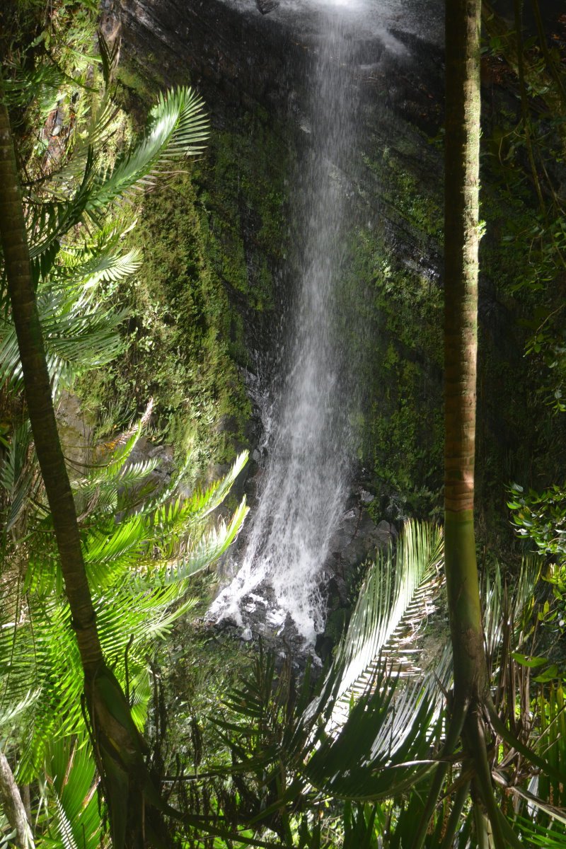La Mina Falls, El Yunque National Park