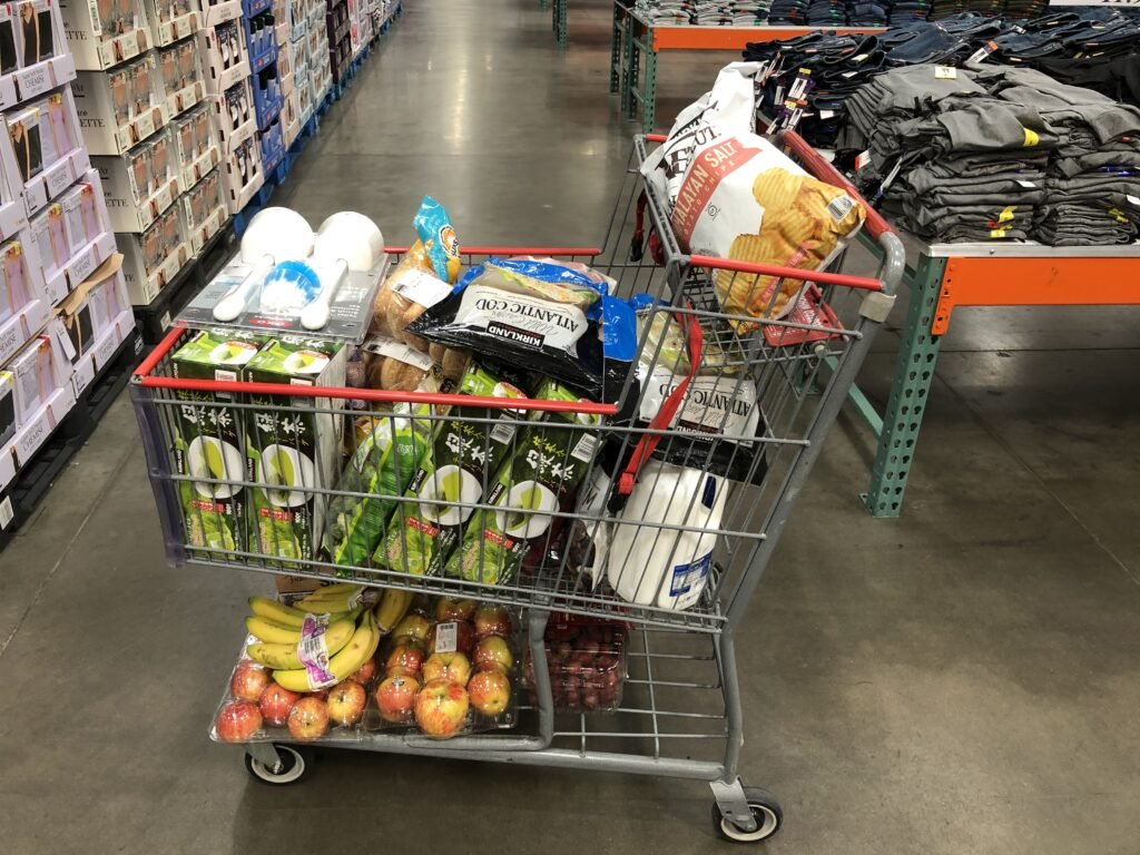 A Shopping Cart Filled With Groceries During the Pandemic