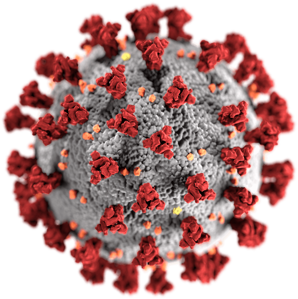 Coronavirus As Seen Under An Electron Microscope