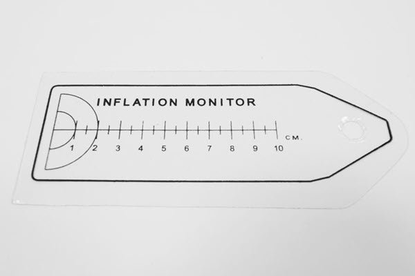 Sea Eagle Inflation Monitor (Sea Eagle Photo)