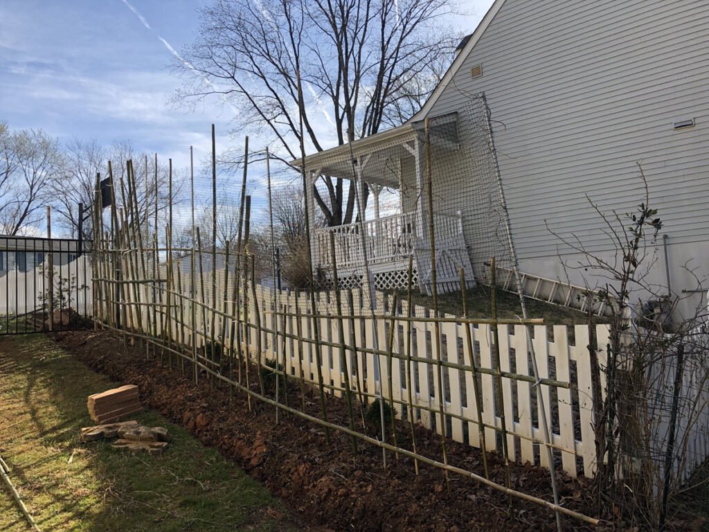 Winnie's Bamboo Trellis