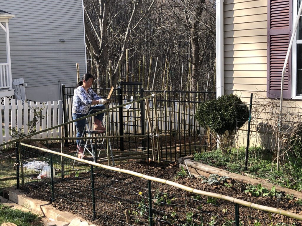 Winnie's Deer-Proof Garden Fence