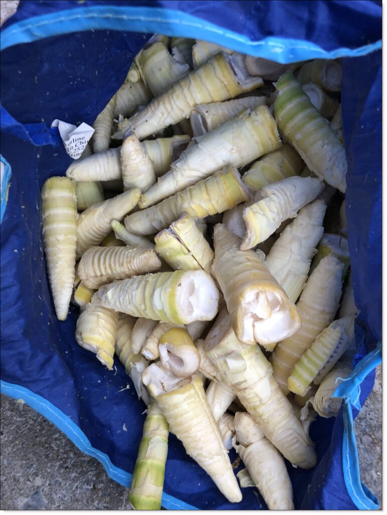 The Edible Bamboo Shoot Cores