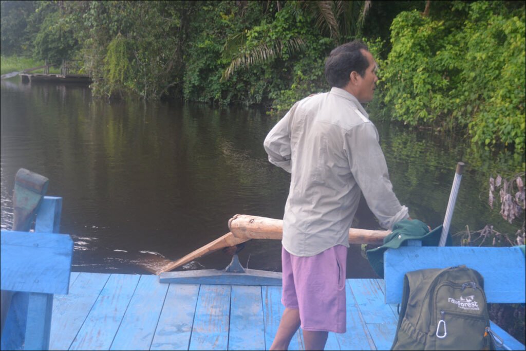 Our Boat Captain Stern Sculling Our Catamaran On An Oxbow Lake connected to the Tambopata River, Amazon Rainforest of Peru, located within Cocha Tres Chimbadas nature reserve