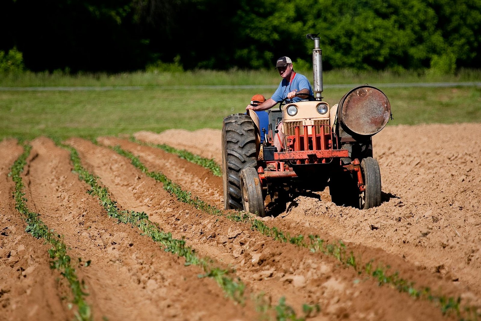Farmer riding a tractor. Trump supporting family farmers are losing their farms, but no sympathy for them. Photo by Mark Stebnicki on Pexels.com