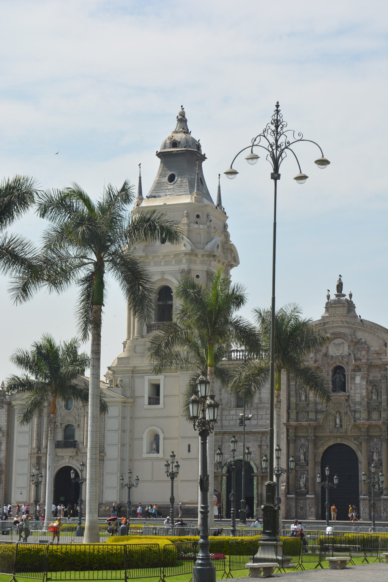 A large ornate cathedral with several palm trees in front.