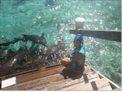Winnie Getting Ready To Enter The Shark's Pen, at the Blue Lagoon Island "Shark Encounters" pen. This is a small island resort just outside of Freeport, Grand Bahama Island.