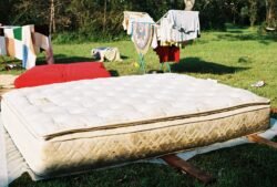 The Mattress