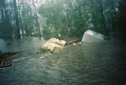 Some of the storm debris that floated into the sideyard