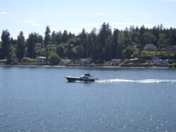 I Would Rather Be Boating