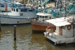 Louisiana Fishing Boats